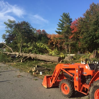 Tree Line Property Services - a tractor and a tree - Tree Services Near Me
