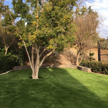 Biltright Turf - Landscaping Near Me Biltright Turf - Landscaping Near Me