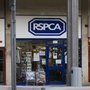 Photo of RSPCA Charity Shop