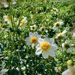 Flood Plain Produce