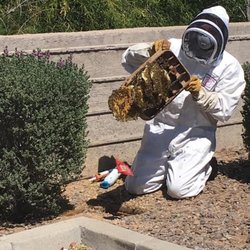 Sonoran Pest Control