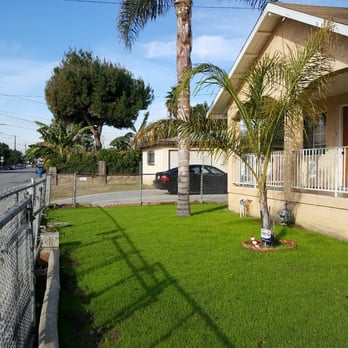 Green Grass Landscaping - It started to grown in 3 weeks. - Landscaping Near Me