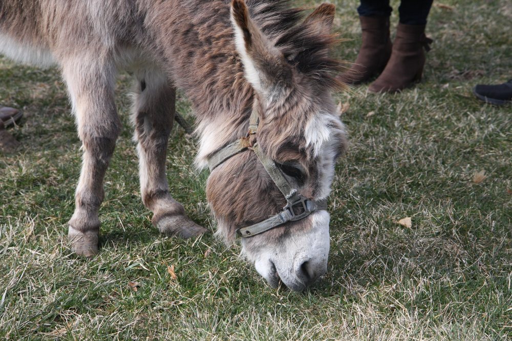 ZION EVANGELICAL LUTHERAN CHURCH Updated June 2024 96 E Allendale
