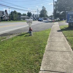 Dalmation Fire Hydrant