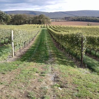 Galen Glen Winery - Wineries Near Me - Andreas, Pennsylvania Galen Glen Winery - Wineries Near Me - Andreas, Pennsylvania