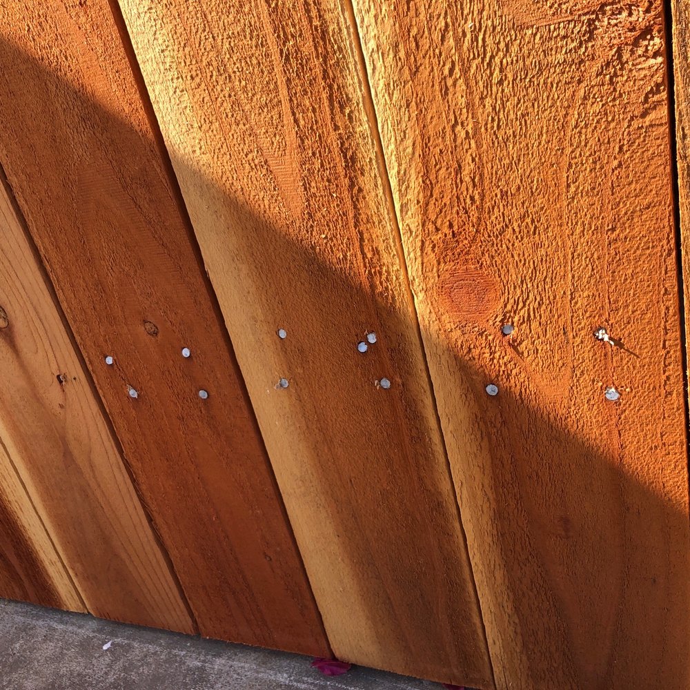 Nectar Spaces, Landscaping & Design - More nails and nails - Landscaping Near Me Nectar Spaces, Landscaping & Design - More nails and nails - Landscaping Near Me