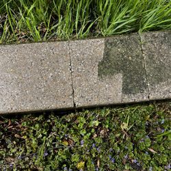Perfection Power-Washing