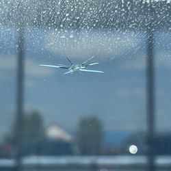 Clear Vu Auto Glass - Outside of the windshield damage