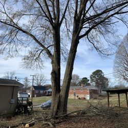 Lands property maintenance