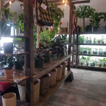 Mundial Coffee - Plants - Coffee & Tea Near Me - Riverside, California