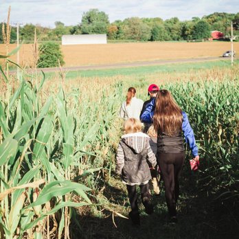 Fresh Acres - Walking through the maze! - Attraction Farms Near Me - Monticello, Minnesota Fresh Acres - Walking through the maze! - Attraction Farms Near Me - Monticello, Minnesota
