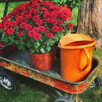 Simply Done - Some mums, and my little red wagon :-) - Home Organization Near Me