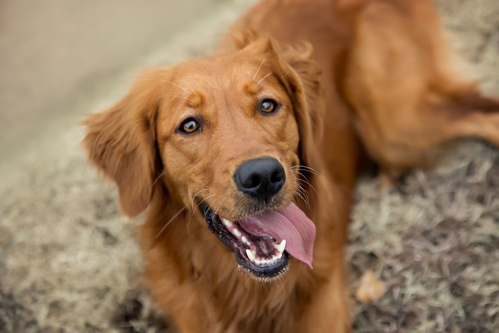 Slide of K & J Plumbing and HVAC Services