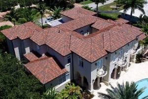 Slide of Andrew Palmer