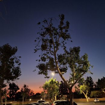 Klatch Coffee - Sunset in the parking lot - Coffee & Tea Near Me - San Dimas, California Klatch Coffee - Sunset in the parking lot - Coffee & Tea Near Me - San Dimas, California