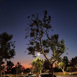 Klatch Coffee - Sunset in the parking lot