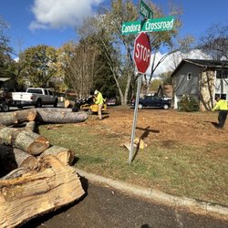 Gonzalez Tree Service