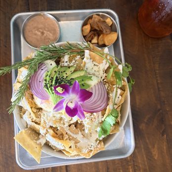 Salseria - Tacos Near Me - Webster, Texas