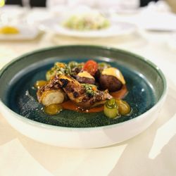 Grilled Octopus