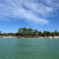 Salty Dog Surf Shop