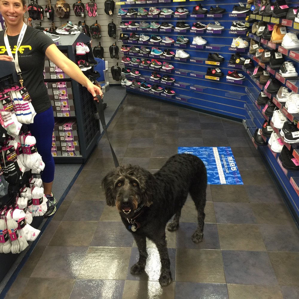 Big 5 Sporting Goods - They are dog friendly ! - Sporting Goods Near Me - San Diego, California Big 5 Sporting Goods - They are dog friendly ! - Sporting Goods Near Me - San Diego, California