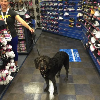 Big 5 Sporting Goods - They are dog friendly ! - Sporting Goods Near Me - San Diego, California
