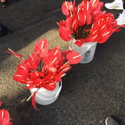 Green Point Nurseries - KCC Farmers' Market