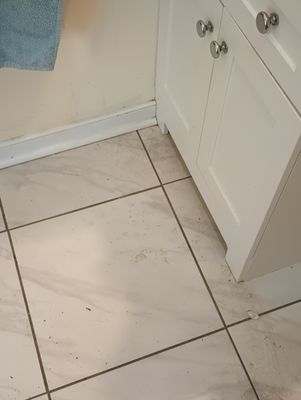 General Home Cleaning - These are photos from some homes we have cleaned. We take pride in making sure clients are satisfied and we don't cut corners. The picture with the clothes on the floor was from a single mother, overwhelmed with the regular duties that come with motherhood. She hired us and couldn't be happier because now we work with her regularly. The bathroom photos are from a client suffering with several medical issues who is having a hard time keeping up with cleaning their home. We now have them booked as regular clients. General Home Cleaning - These are photos from some homes we have cleaned. We take pride in making sure clients are satisfied and we don't cut corners. The picture with the clothes on the floor was from a single mother, overwhelmed with the regular duties that come with motherhood. She hired us and couldn't be happier because now we work with her regularly. The bathroom photos are from a client suffering with several medical issues who is having a hard time keeping up with cleaning their home. We now have them booked as regular clients.