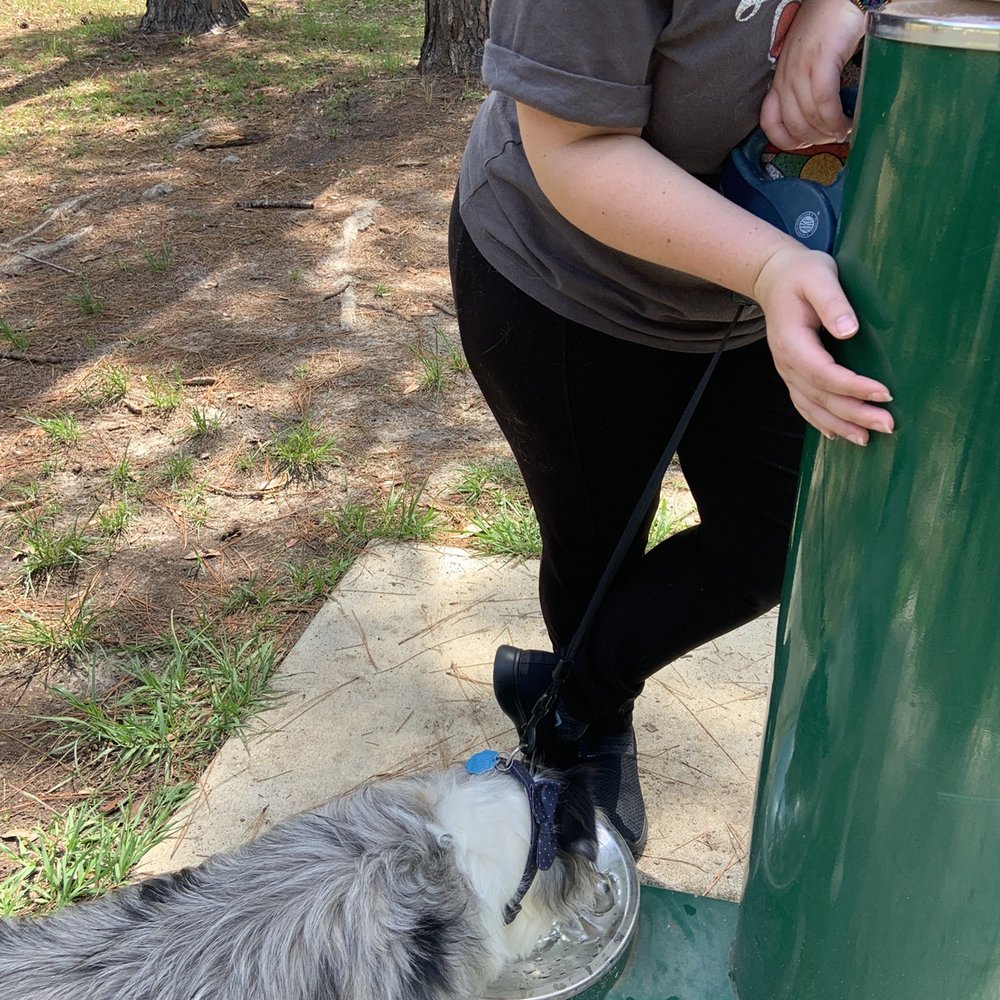 J Lee Vause Park - Doggie water fountain outside of park at entrance - Playgrounds Near Me - Tallahassee, Florida J Lee Vause Park - Doggie water fountain outside of park at entrance - Playgrounds Near Me - Tallahassee, Florida
