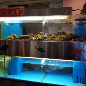 Aberdeen - Dim Sum Near Me - White Plains, New York Aberdeen - Dim Sum Near Me - White Plains, New York
