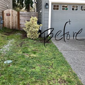 Alvin's Landscaping - Before front home - Landscaping Near Me - Tacoma, Washington