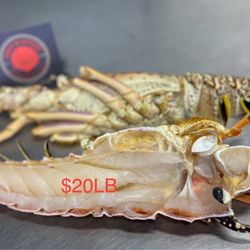 D&D SEAFOOD
