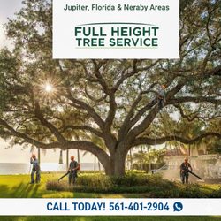 Full Height Tree Services