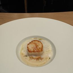 Scallop