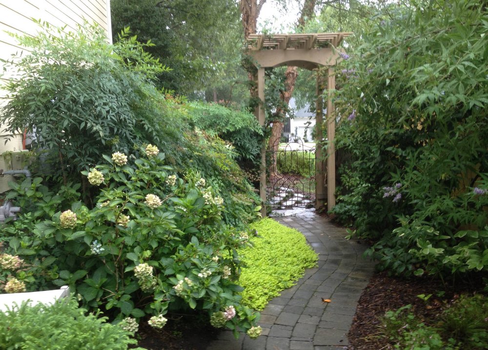 COASTAL LAND DESIGN Updated August 2024 221 N Front St, Wilmington