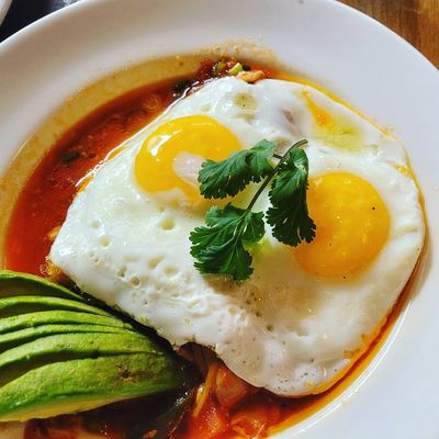 Beatrix Loop by null