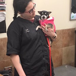 Groomer and Peach Groomer and Peach