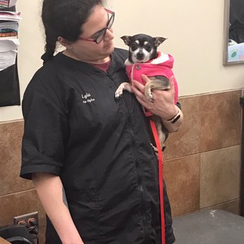PetSmart - Groomer and Peach - Pet Groomers Near Me - Mt Prospect, Illinois PetSmart - Groomer and Peach - Pet Groomers Near Me - Mt Prospect, Illinois