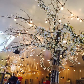 Cafe Bench - Cafes Near Me - Flushing, New York Cafe Bench - Cafes Near Me - Flushing, New York