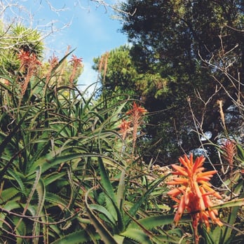 Amir's Garden - Parks Near Me - Los Angeles, California