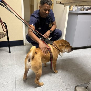 Evening Pet Clinic - Veterinarians Near Me - Long Beach, California Evening Pet Clinic - Veterinarians Near Me - Long Beach, California