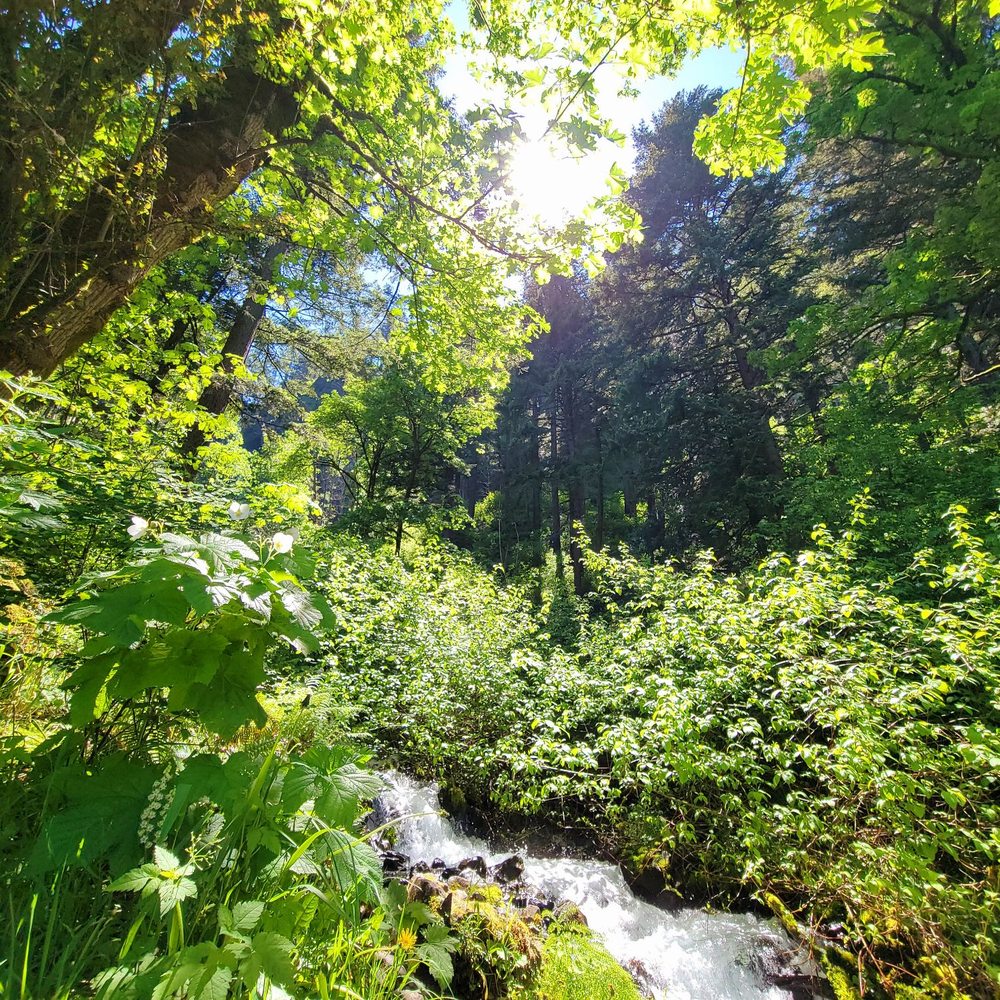 Wahkeena Falls - Parks Near Me - Troutdale, Oregon Wahkeena Falls - Parks Near Me - Troutdale, Oregon