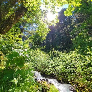 Wahkeena Falls - Parks Near Me - Troutdale, Oregon