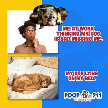POOP 911 - River Bend - Dog Walkers Near Me POOP 911 - River Bend - Dog Walkers Near Me