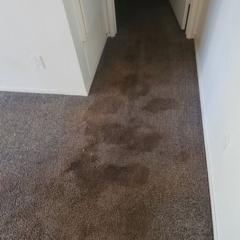 Espinosa's Cleaning - a person's shoes on the floor - Carpet Cleaning Near Me Espinosa's Cleaning - a person's shoes on the floor - Carpet Cleaning Near Me