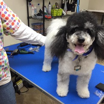 Barks, Bubbles, & More - Pet Groomers Near Me - New Ellenton, South Carolina Barks, Bubbles, & More - Pet Groomers Near Me - New Ellenton, South Carolina