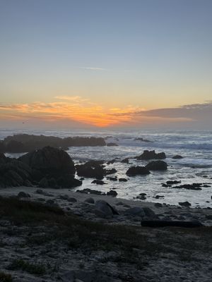 Asilomar State Beach by null