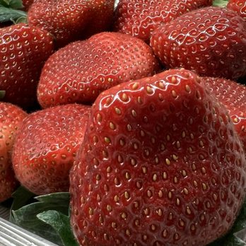 99 Ranch Market - Fruits & Veggies Near Me - Westbury, New York 99 Ranch Market - Fruits & Veggies Near Me - Westbury, New York