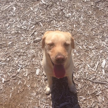 Wilder Dog Park - Dog Parks Near Me - South Beach, Oregon