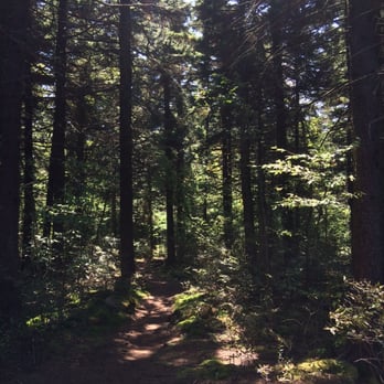 Spruce Knob - Hiking Near Me - Whitmer, West Virginia
